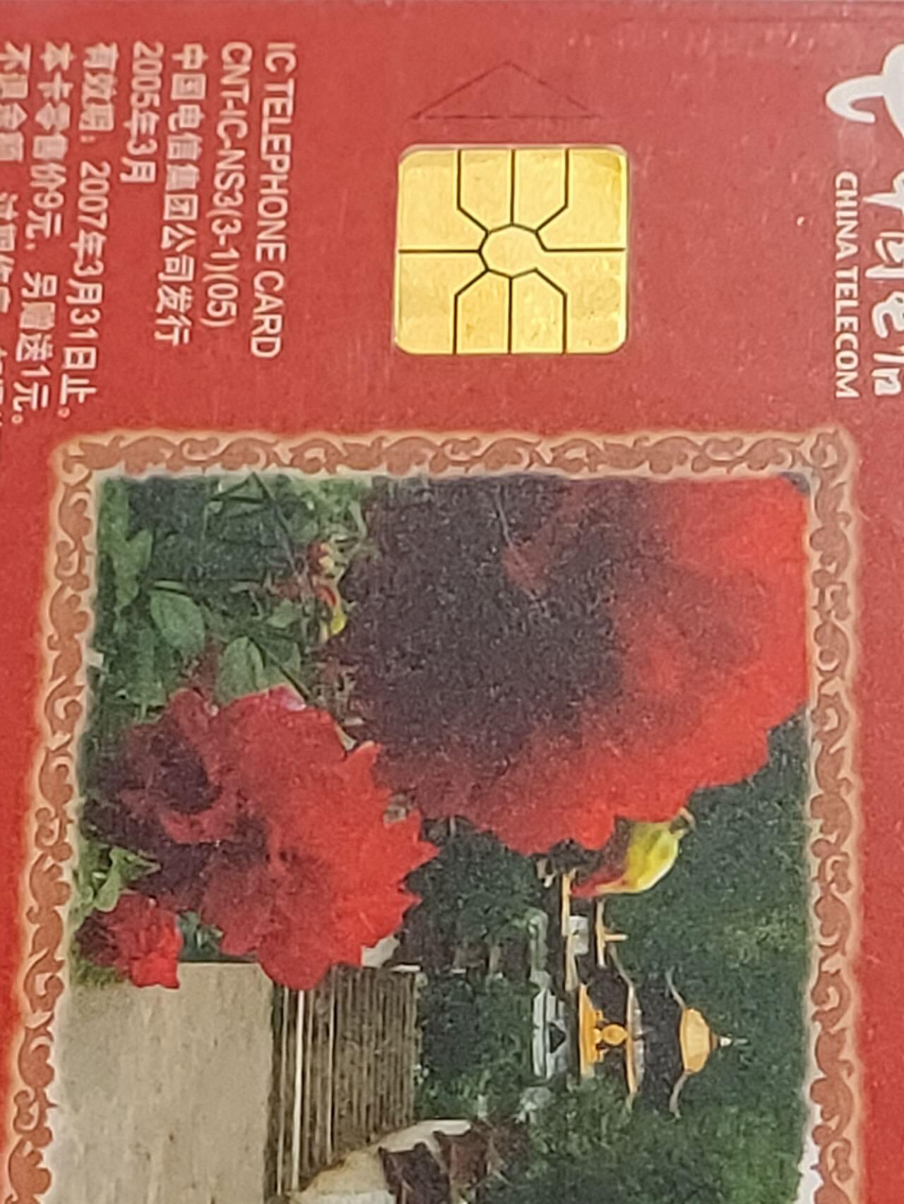 公藏第120期评级卡拍卖