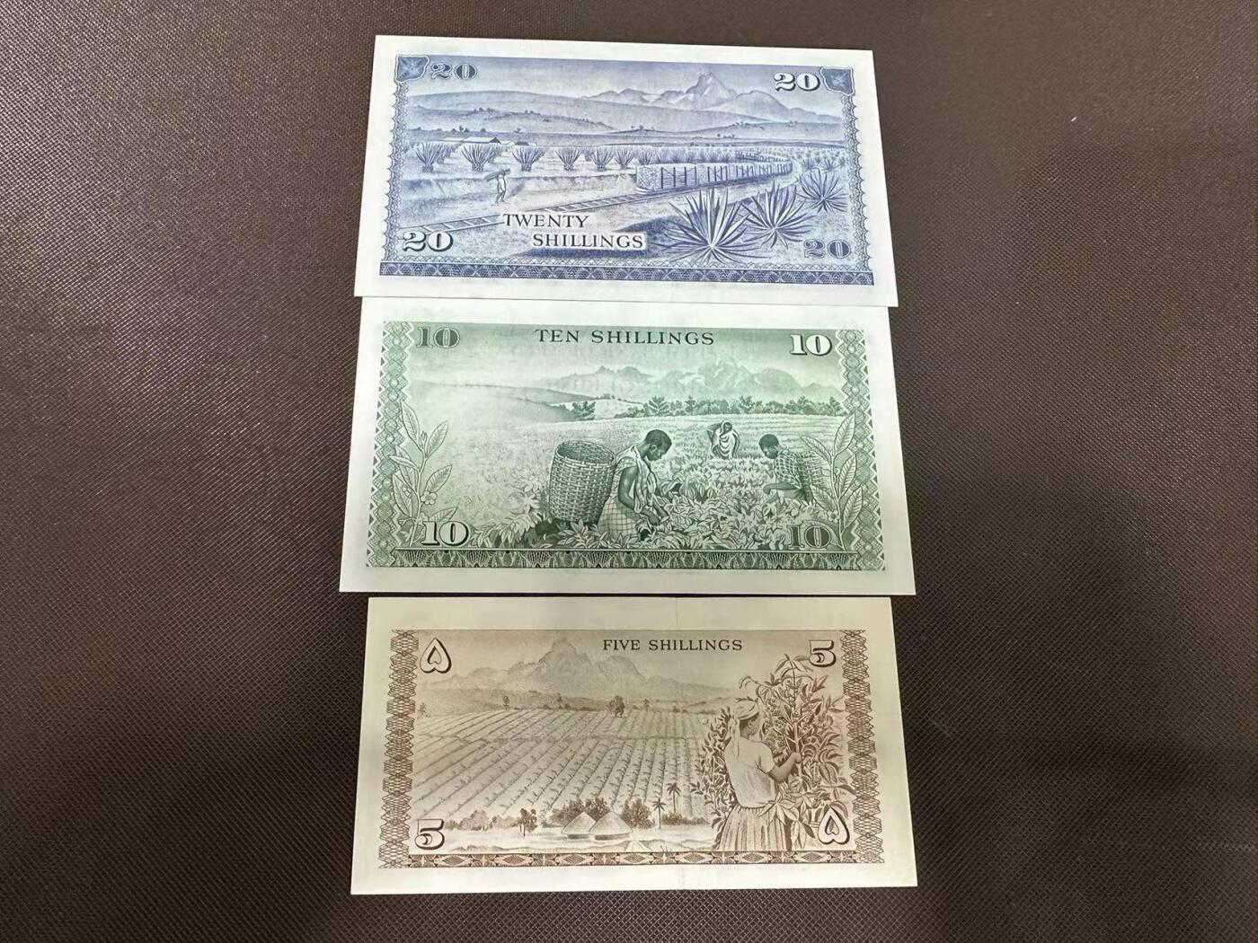 喜羊羊钱币收藏2025第9期(普品场) 肯尼亚1973年20unc 1974年10unc  1968年5au+  非洲肯尼亚珍品版本  不同于1978年版本 