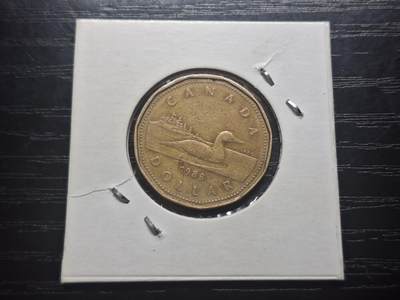 博彦收藏 8月27日 8点钱币专场 - 1988 加拿大鸭子1元硬币 流通品