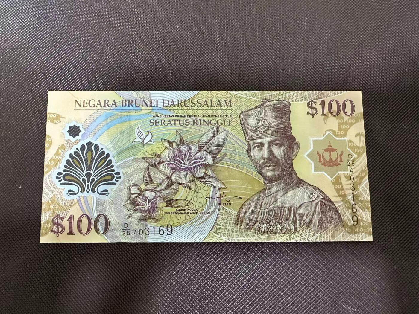 喜羊羊钱币收藏2025第9期(普品场) 文莱2013年100unc