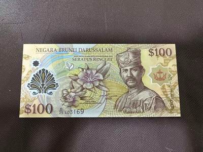 喜羊羊钱币收藏2025第9期(普品场) - 文莱2013年100unc