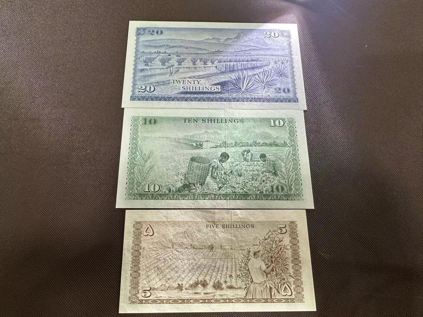 喜羊羊钱币收藏2025第9期(普品场) 肯尼亚1973年20unc 1974年10unc  1968年5au+  非洲肯尼亚珍品版本  不同于1978年版本 