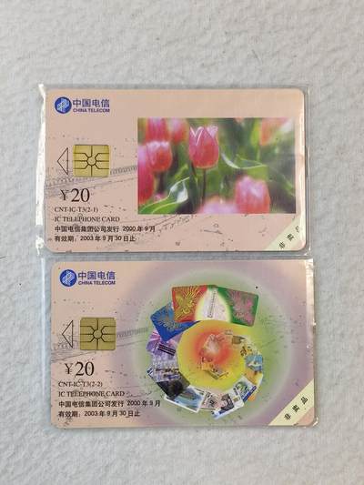 易卡拍卖第37期 - IC—T3德州市集卡协会。DZ电总版。无封套，收藏级品相。如图所示！