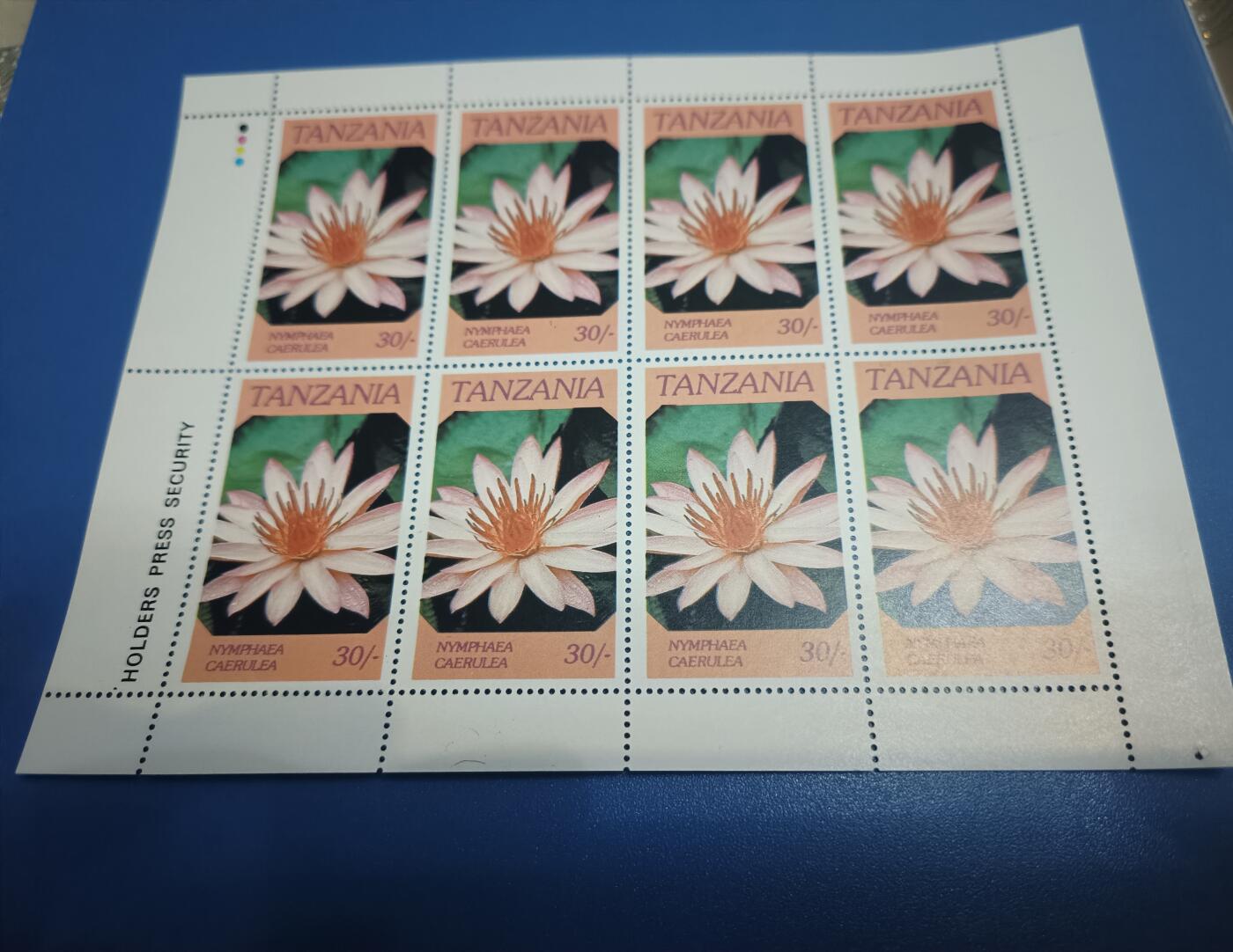 型张全张一组