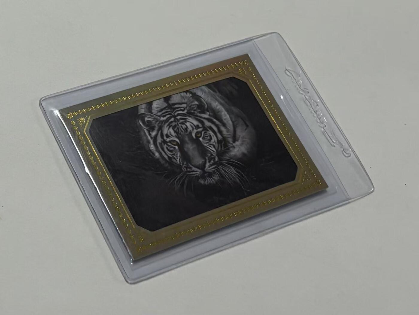 零元拍：2024 X New Card 新卡文化 探索中国收藏卡 野外老虎的高角度肖像 金折 折射 特卡 04/10编 仅10张！