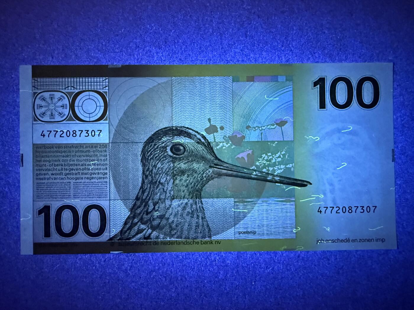 《艾美收藏》第209期-8.24周日外币黄金场 荷兰100盾 UNC 1977年 经典水鸟