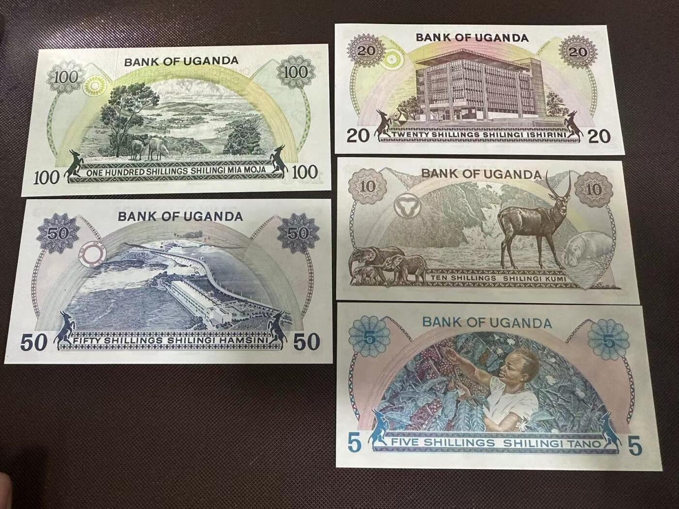 喜羊羊钱币收藏2025第9期(普品场) 乌干达5-100unc