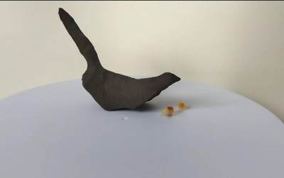 拆分大全套+欣赏新疆奇石（23日晚21:30结拍） 【青鸟】常传云外信