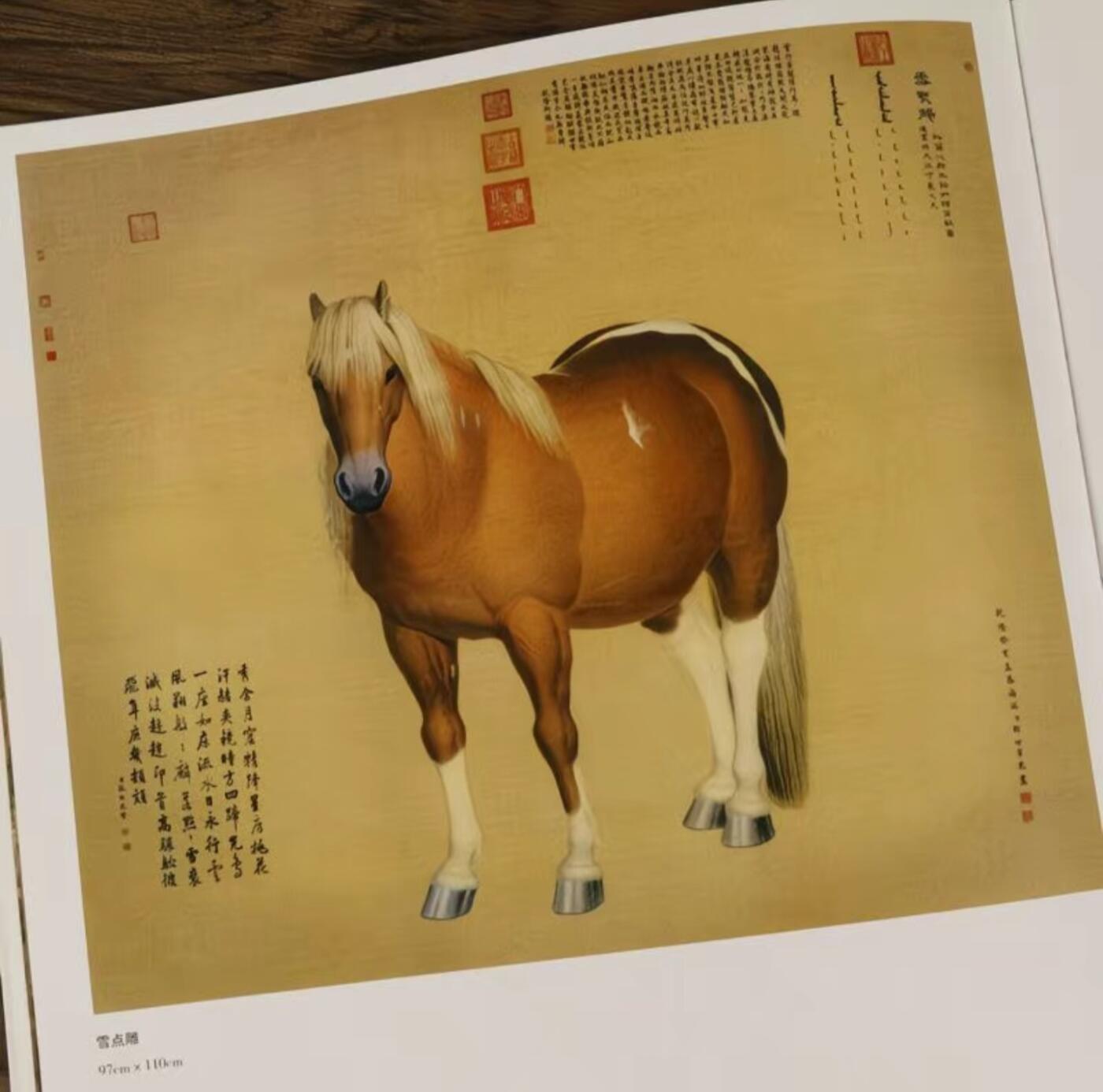 郎世宁画册 全新