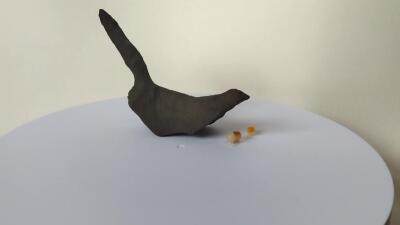 拆分大全套+欣赏新疆奇石（23日晚21:30结拍） 【青鸟】常传云外信