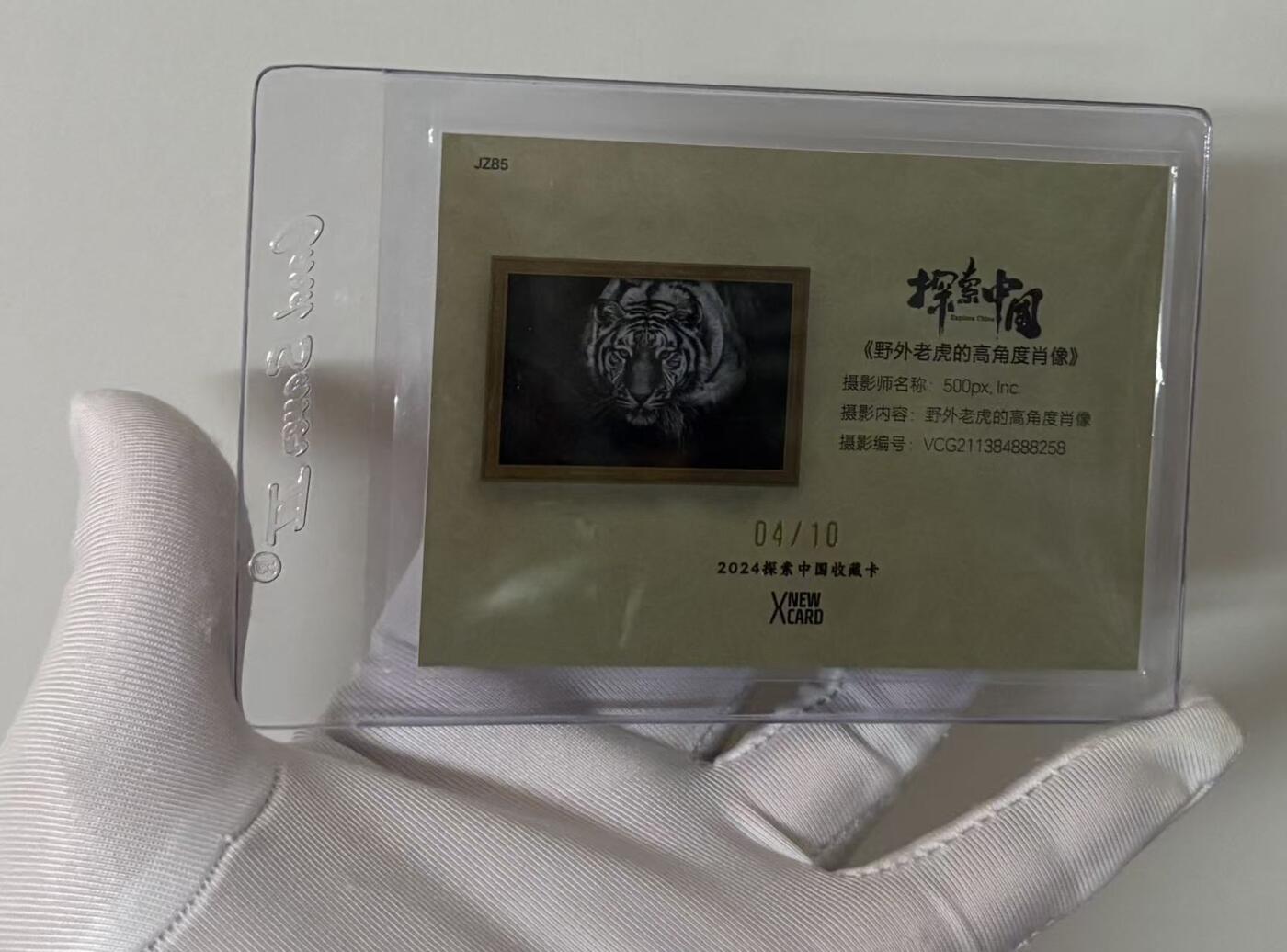 零元拍：2024 X New Card 新卡文化 探索中国收藏卡 野外老虎的高角度肖像 金折 折射 特卡 04/10编 仅10张！