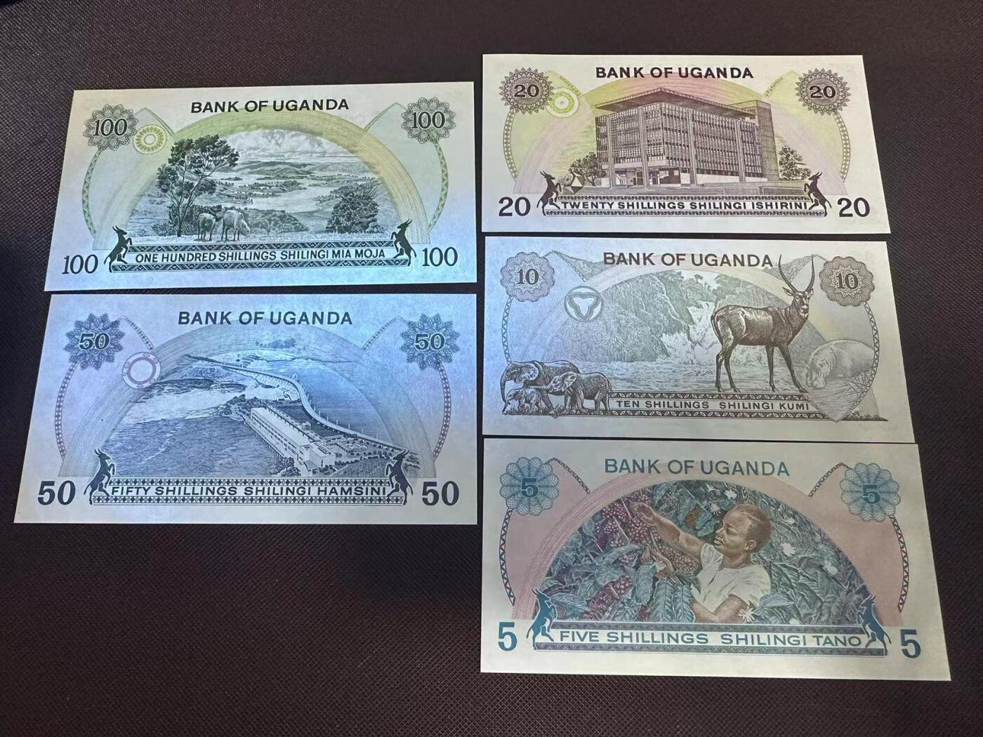 喜羊羊钱币收藏2025第9期(普品场) 乌干达5-100unc