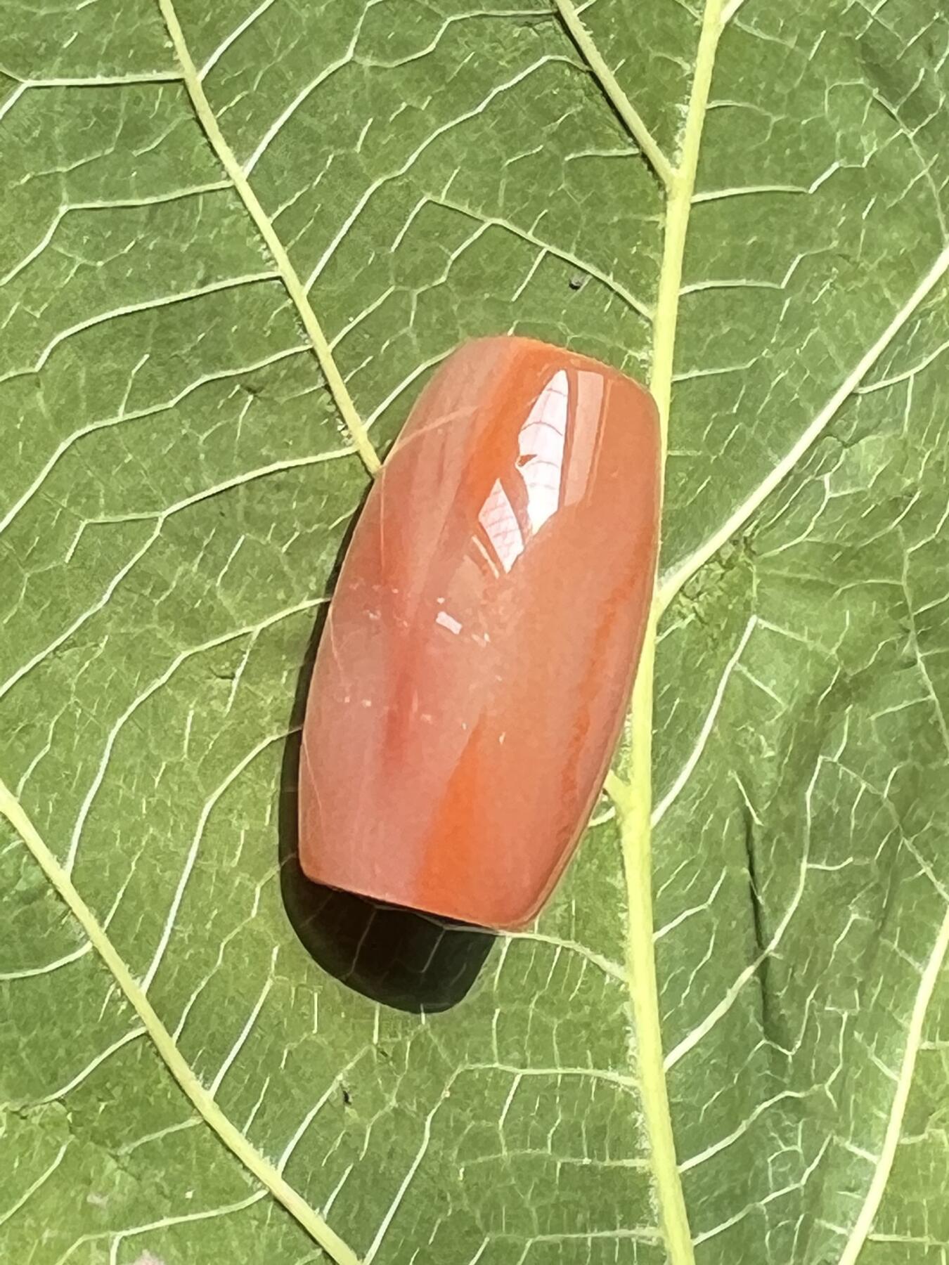 零元拍：南红玛瑙桶珠，约8.3克，25/14MM，颜色以实物为准。拍到的再送一斤南红鱼缸料，只多不少