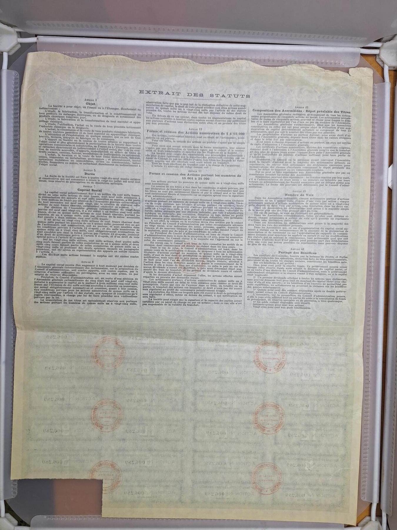 狮子猫股票债券纸品第一期 法国1926年坦斯化学应用机构 股票号码6289