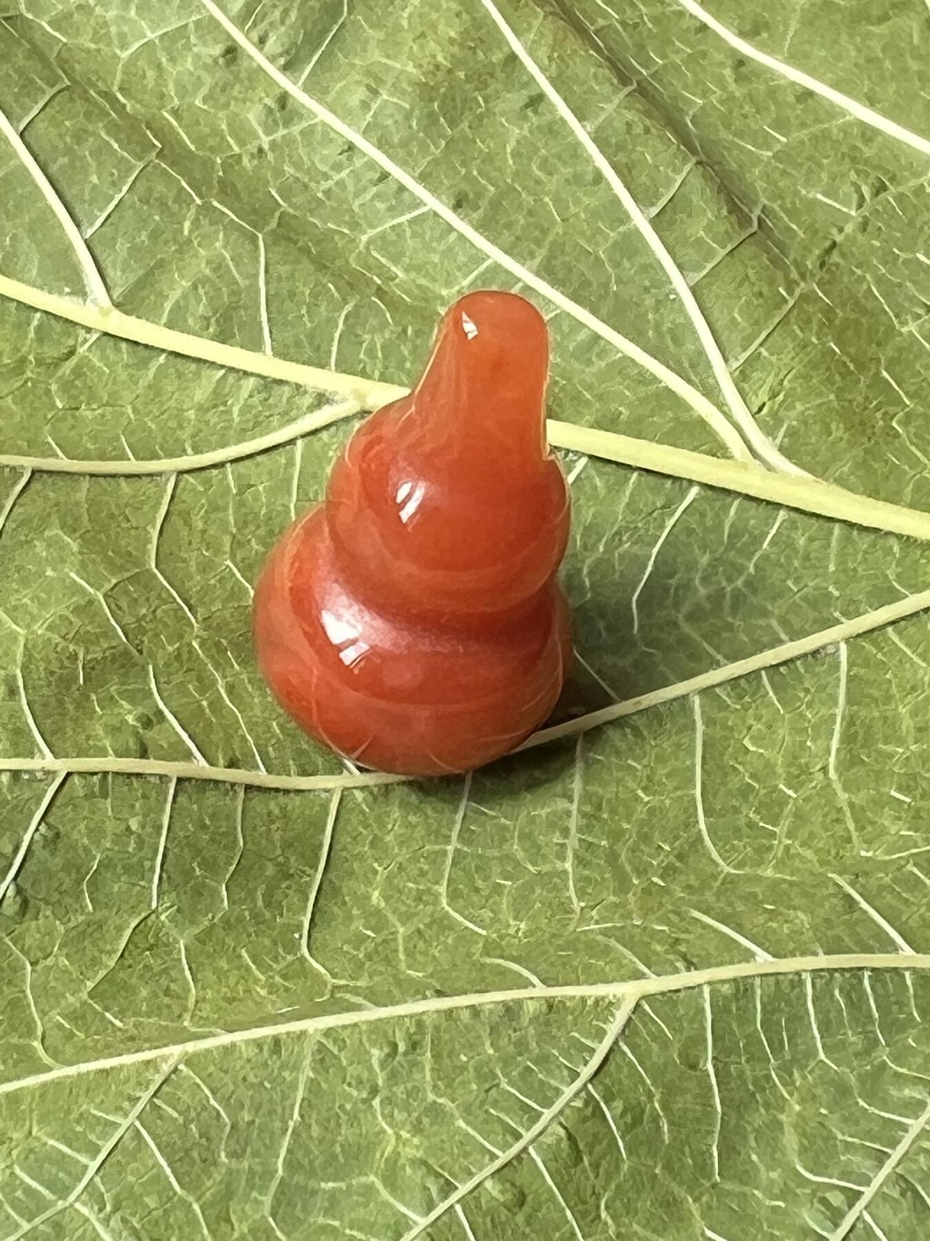 零元拍：漂亮的南红玛瑙葫芦，纯手工，尺寸约：大肚 14，小肚 10，高 23，4.3克，因为拍照环境以及光线的变化，颜色以实物为准。拍到就送一斤（只多不少）南红鱼缸石