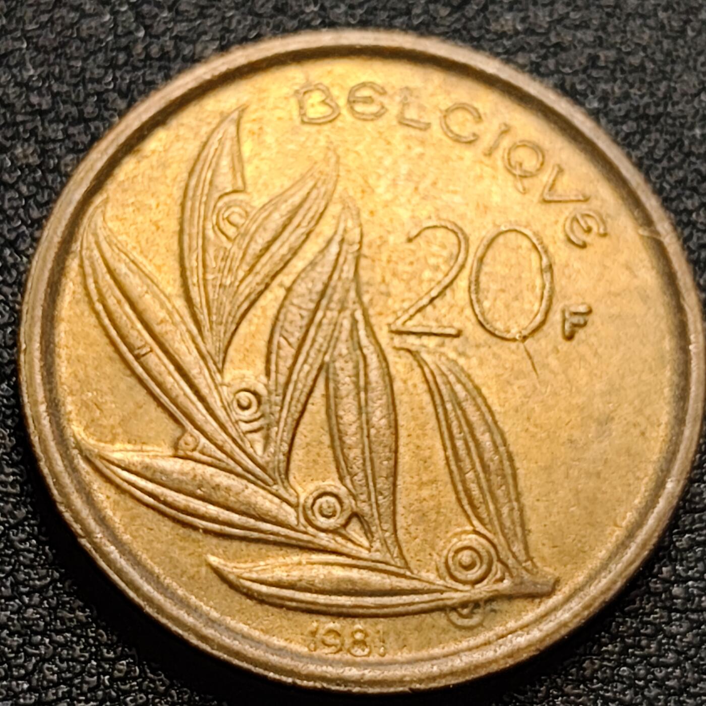 泉币菌-第93场-精品福利场（满包邮条件，下周一发货） 铜光美品 比利时1981年20法郎 博杜安一世国王 荷兰版 镍青铜币 25.53mm