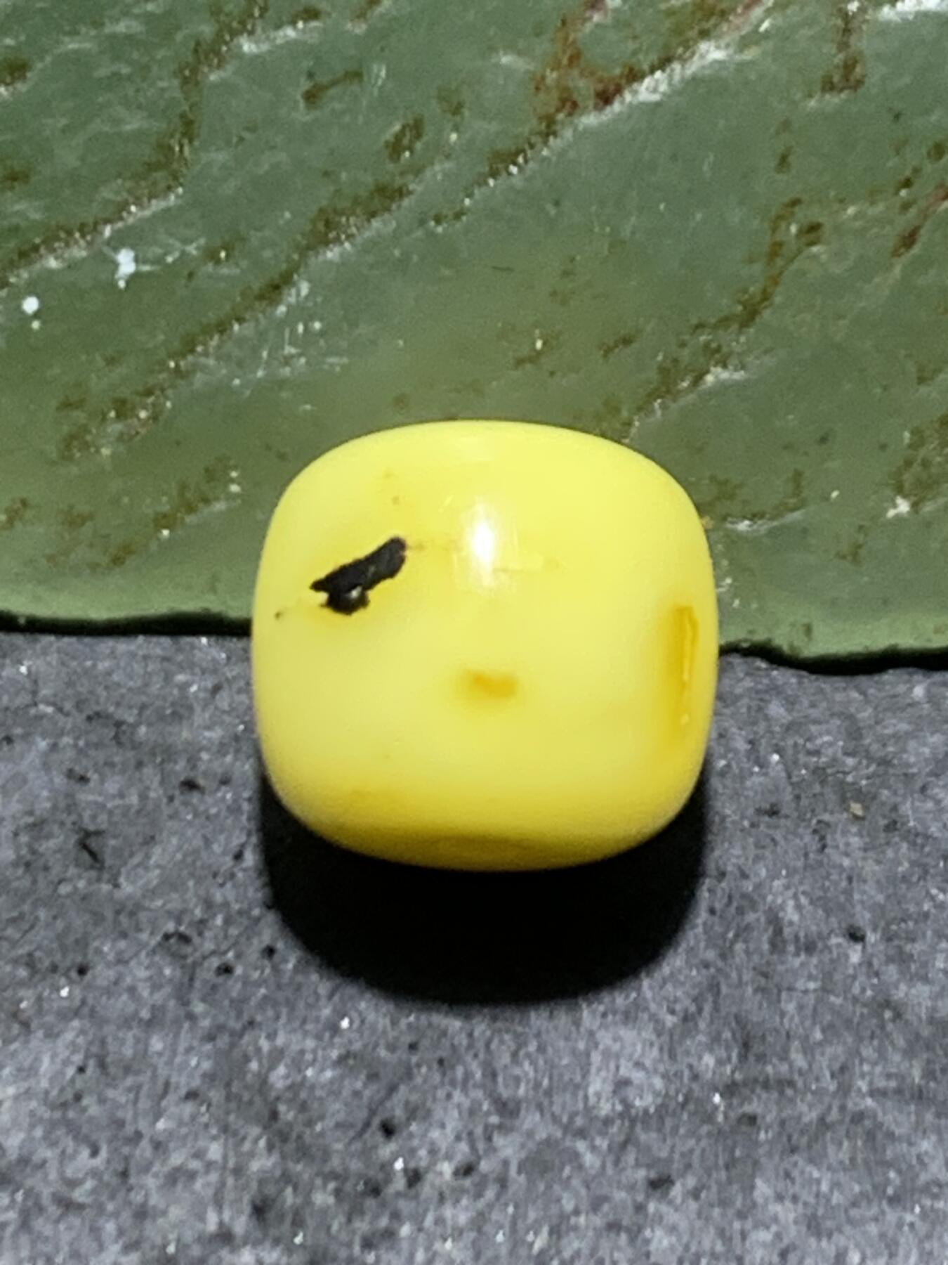 天然俄料原矿蜜蜡老形桶珠一颗，