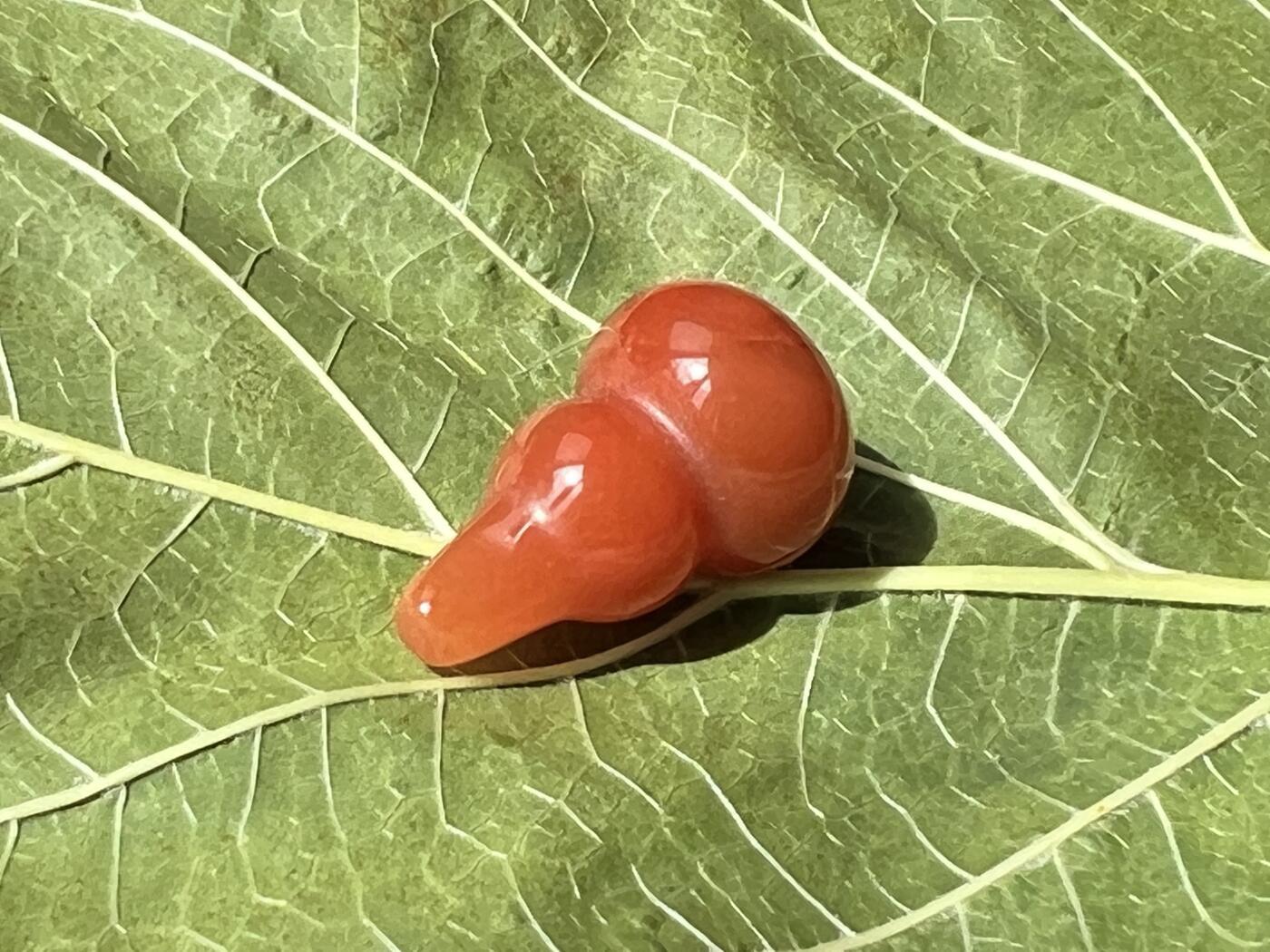 零元拍：漂亮的南红玛瑙葫芦，纯手工，尺寸约：大肚 14，小肚 10，高 23，4.3克，因为拍照环境以及光线的变化，颜色以实物为准。拍到就送一斤（只多不少）南红鱼缸石