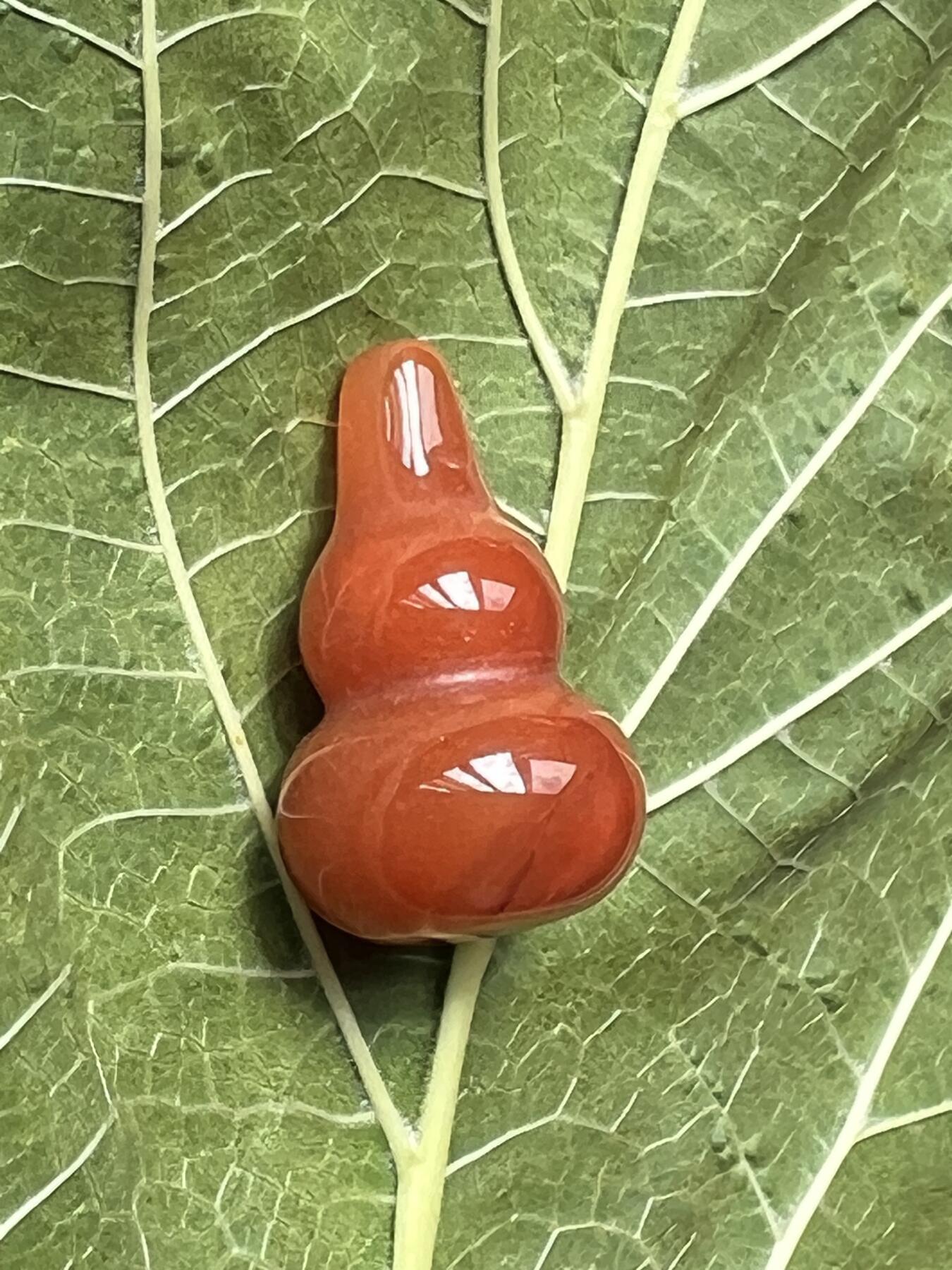 零元拍：漂亮的南红玛瑙葫芦，纯手工，尺寸约：大肚 14，小肚 10，高 23，4.3克，因为拍照环境以及光线的变化，颜色以实物为准。拍到就送一斤（只多不少）南红鱼缸石