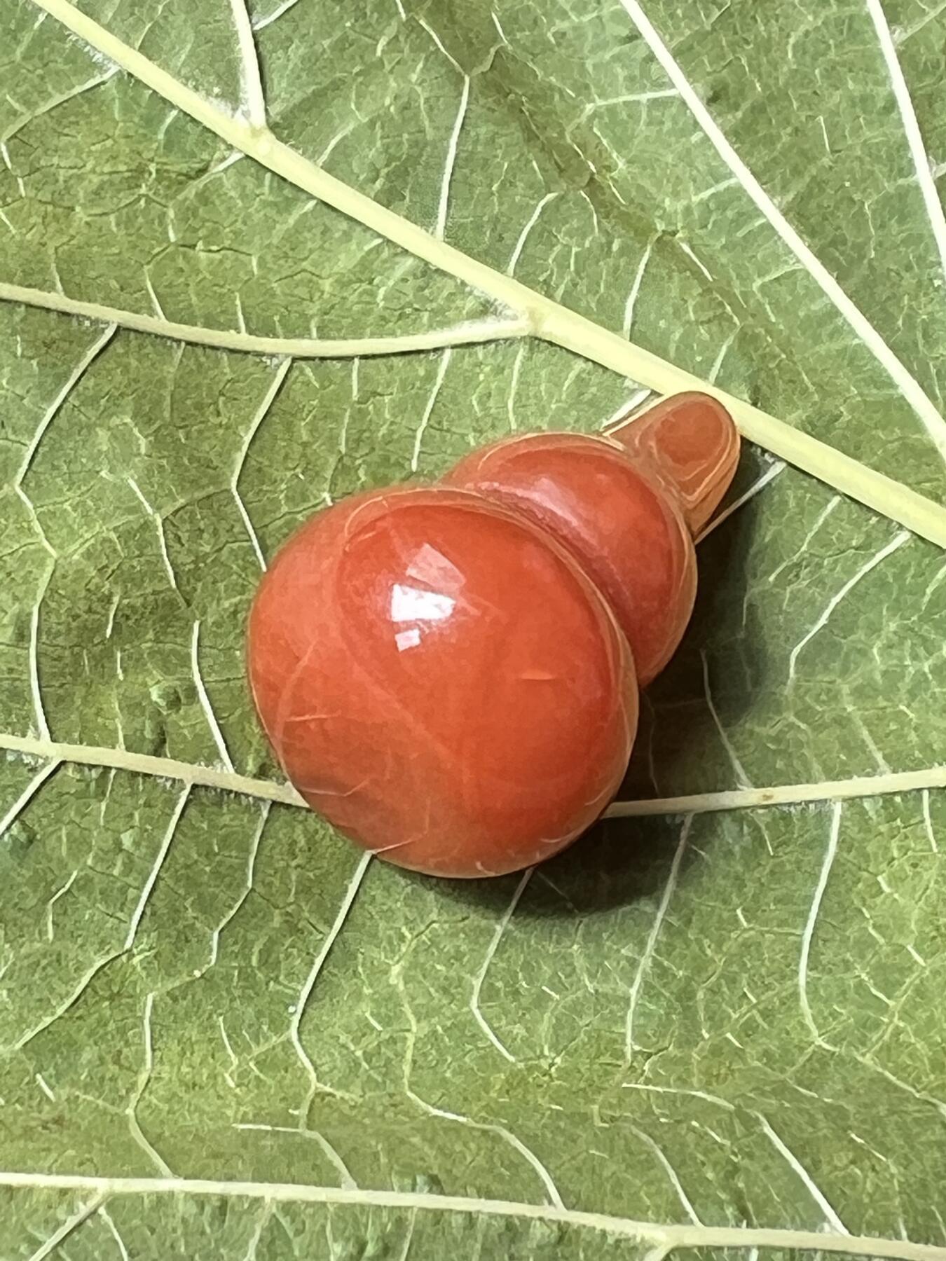零元拍：漂亮的南红玛瑙葫芦，纯手工，尺寸约：大肚 14，小肚 10，高 23，4.3克，因为拍照环境以及光线的变化，颜色以实物为准。拍到就送一斤（只多不少）南红鱼缸石