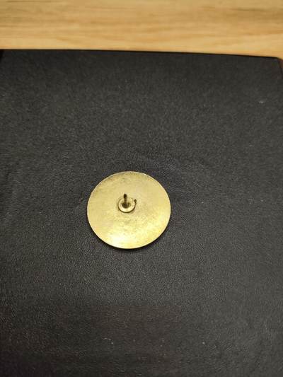 新时代收藏徽章红藏拍卖(第二十四场)  限时回归徽章杂项大合集拍场 美国陆军代表证章