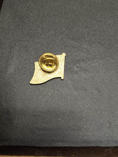 新时代收藏徽章红藏拍卖(第二十四场)  限时回归徽章杂项大合集拍场 特朗普同款 美国国家工作人员代表章