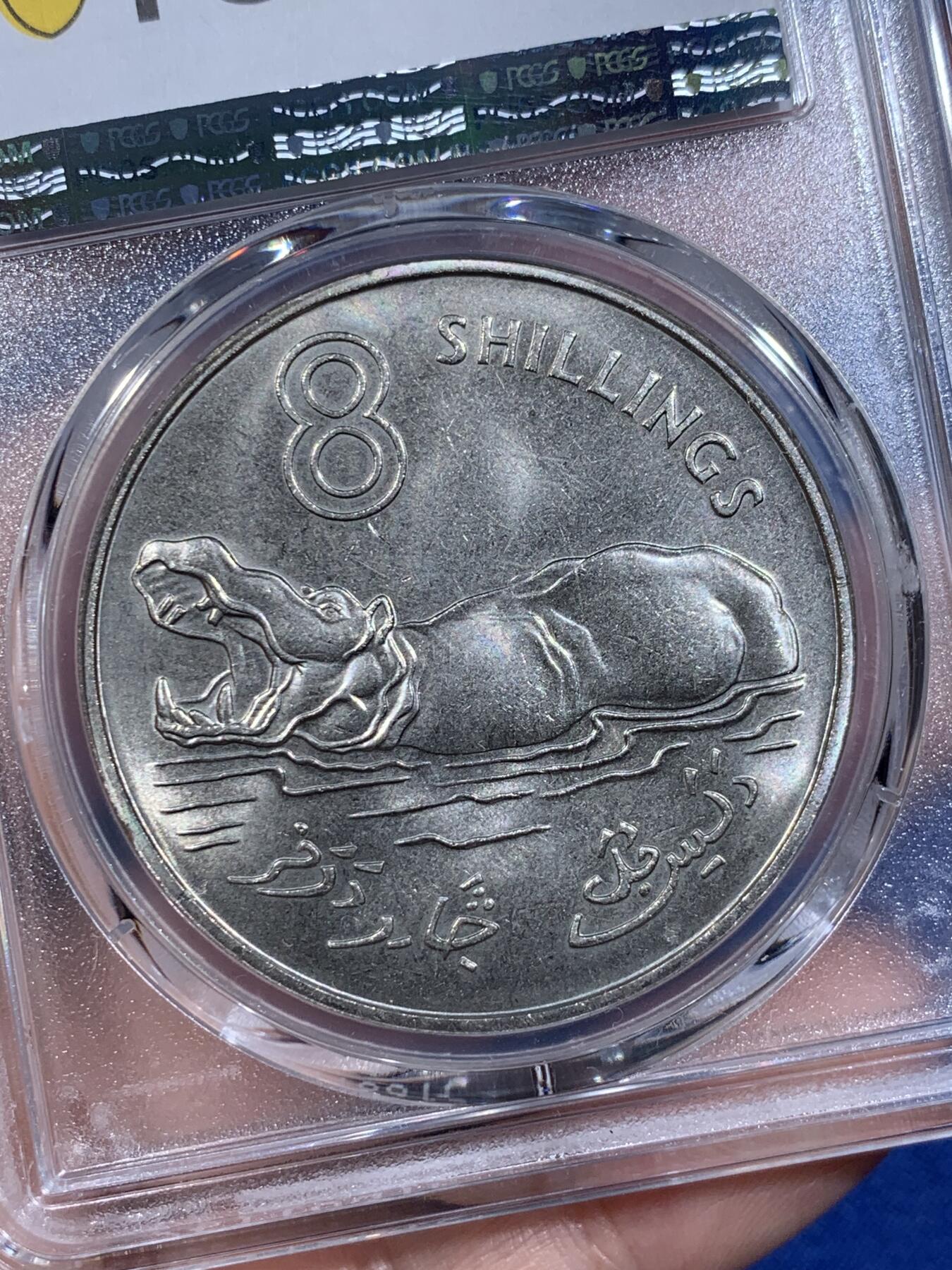 《竞宝斋》第411场 周日，周一，周二，3场连拍 （全场包邮） PCGS MS66 冈比亚1970年河马大型动物克朗币，冈比亚最大面值