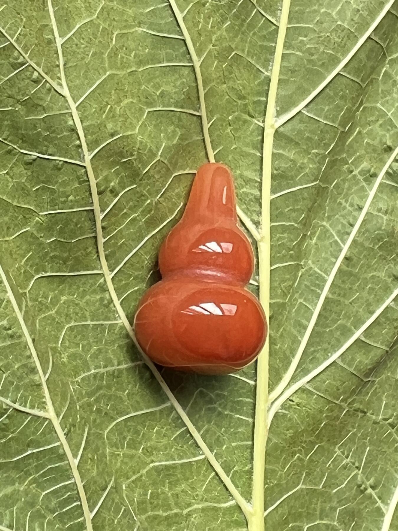 零元拍：漂亮的南红玛瑙葫芦，纯手工，尺寸约：大肚 14，小肚 10，高 23，4.3克，因为拍照环境以及光线的变化，颜色以实物为准。拍到就送一斤（只多不少）南红鱼缸石