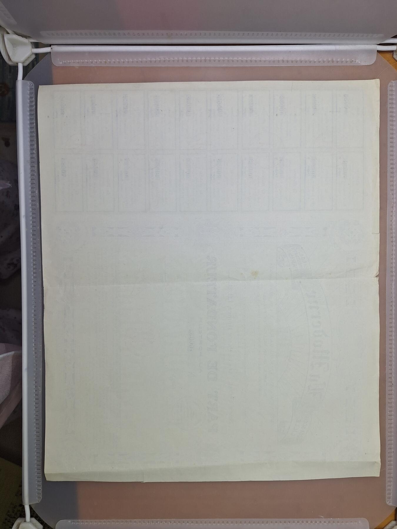 狮子猫股票债券纸品第一期 法国1924年法国保险和再保险股份有限公司 股票号码33