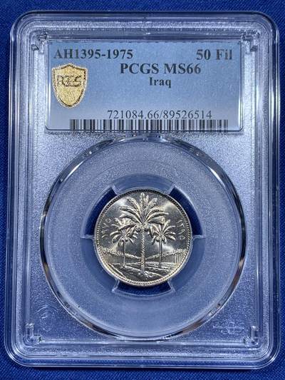 《竞宝斋》第411场 周日，周一，周二，3场连拍 （全场包邮） - PCGS MS66 伊拉克1975年50费尔椰树 拆卷评级高分 适合配套
