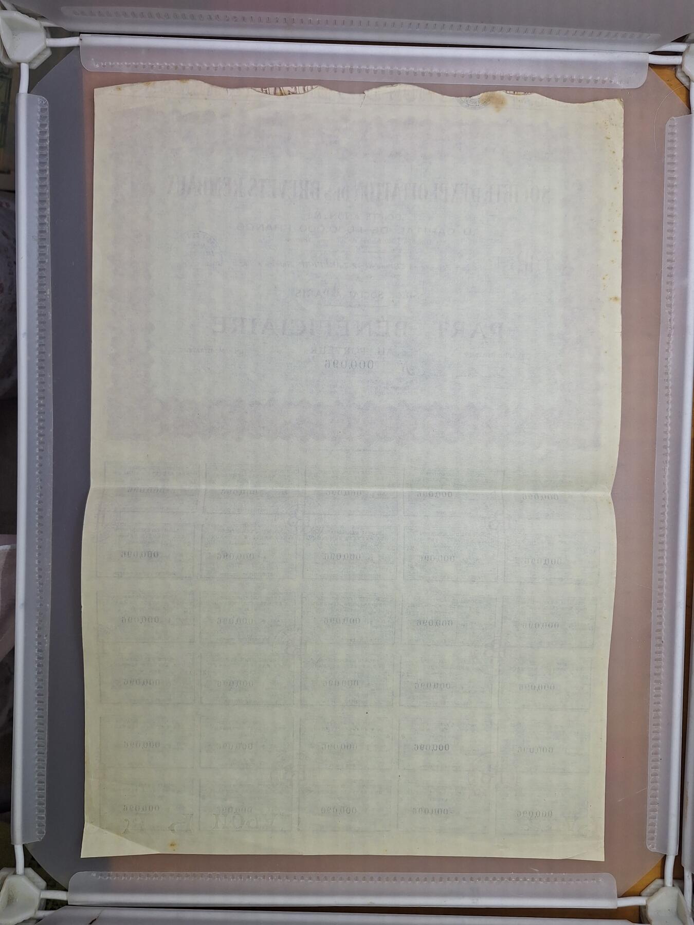 狮子猫股票债券纸品第一期 法国1930年蕾姆博专利开发公司 股票号码96