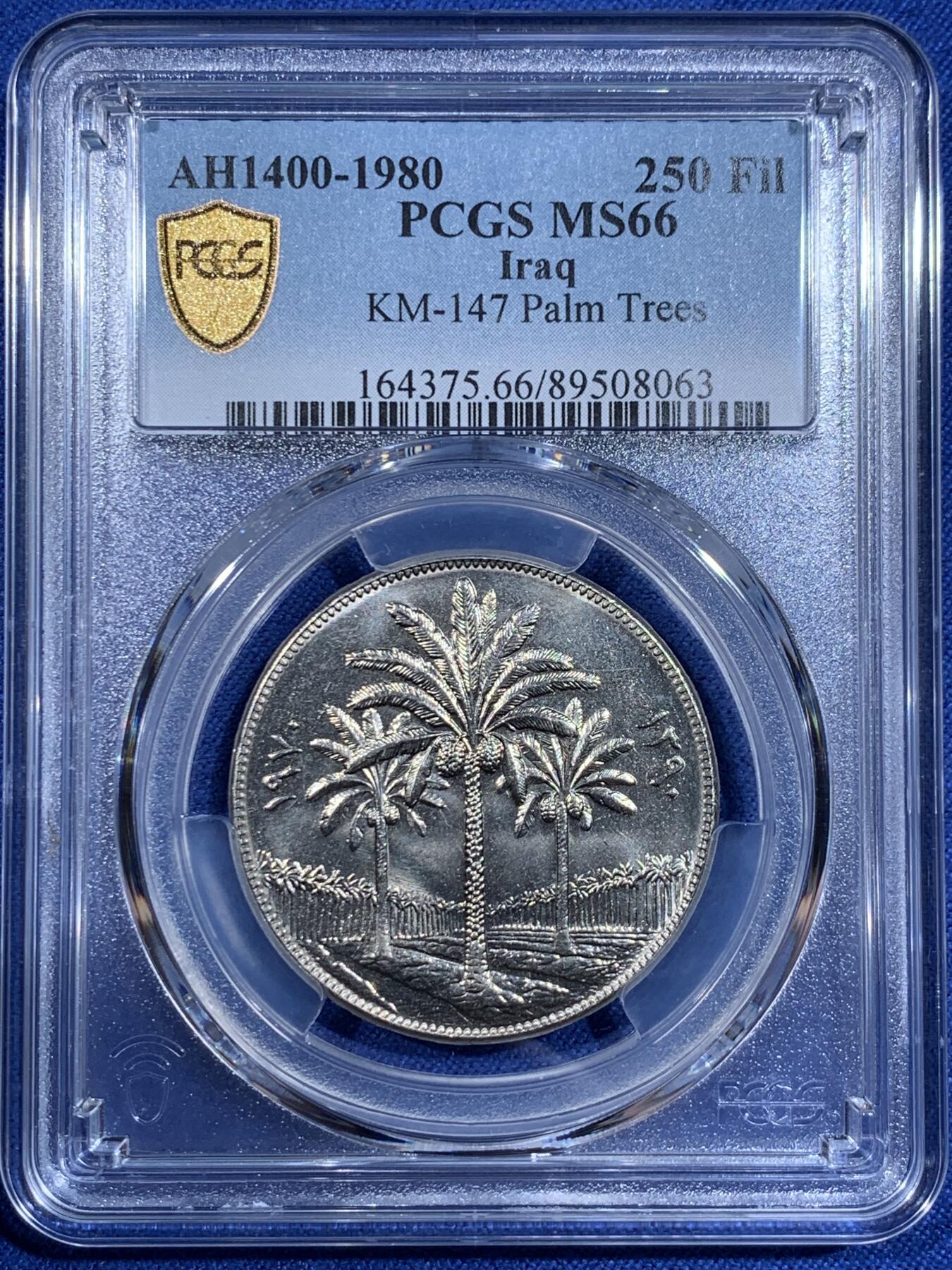 《竞宝斋》第411场 周日，周一，周二，3场连拍 （全场包邮） PCGS MS66 伊拉克1980年250费尔 FAO纪念 少见高分 两面转光品相 PCGS年份标注错误 可免费换装