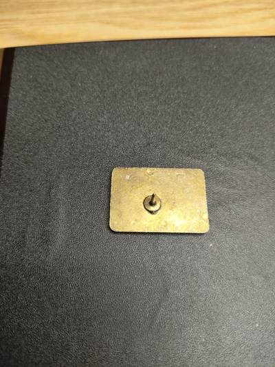 新时代收藏徽章红藏拍卖(第二十四场)  限时回归徽章杂项大合集拍场 特朗普美国爱国证章 我爱美国