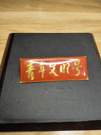 新时代收藏徽章红藏拍卖(第二十四场)  限时回归徽章杂项大合集拍场 青年文明号嘉奖