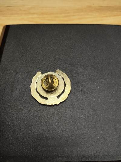 新时代收藏徽章红藏拍卖(第二十四场)  限时回归徽章杂项大合集拍场 美国海军 征兵官证章 铜制珐琅