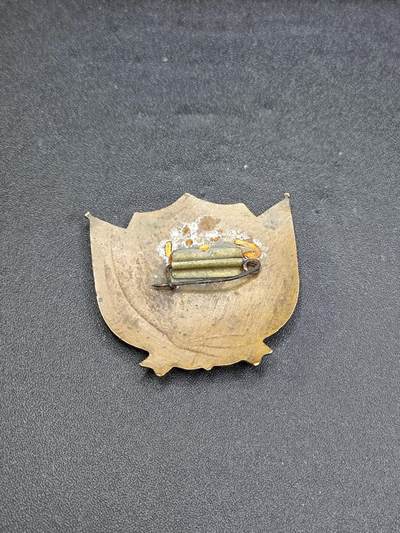 新时代收藏徽章红藏拍卖(第二十四场)  限时回归徽章杂项大合集拍场 朝鲜中国友好和平鸽 蓝鸽子徽章 铜制珐琅