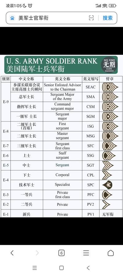 新时代收藏徽章红藏拍卖(第二十四场)  限时回归徽章杂项大合集拍场 美军原品 E-6 上士领章 SSG 背后带厂标