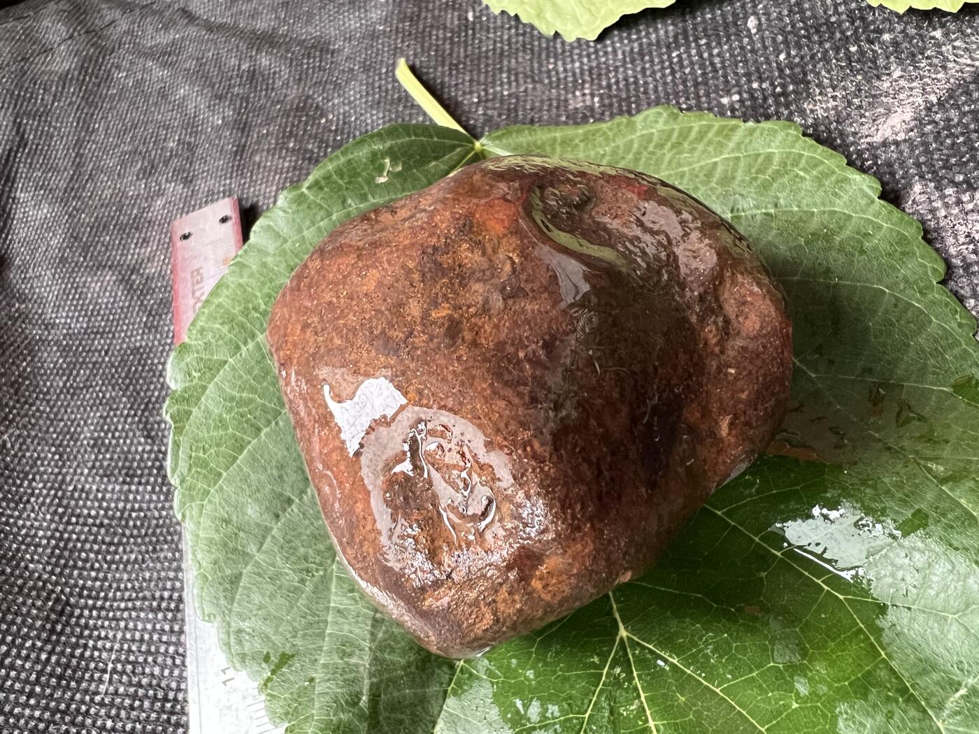 零元拍：南红玛瑙手把石。约194克，红白相间纯天然，独一无二的（天然原石不可避免有瑕疵，裂纹，介意勿拍）因为拍照环境以及光线的变化，颜色以实物为准。成品很美丽，原石亦魅力无穷。