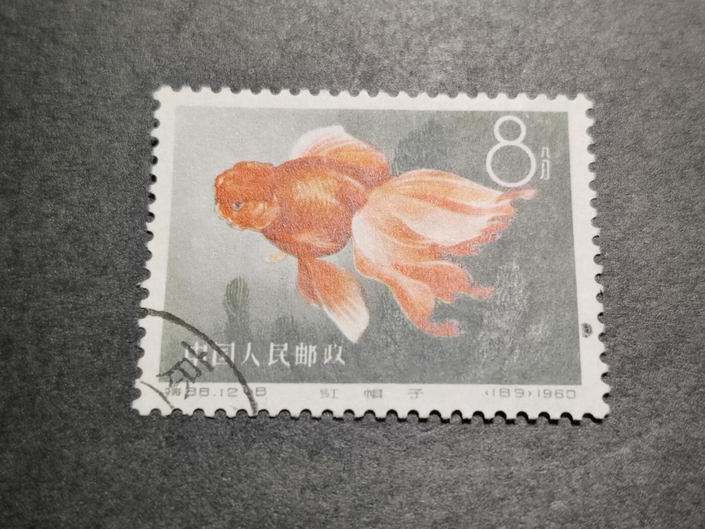 洪涛臻品批发群 精选邮票限时拍卖第1083期  特38金鱼12-8 盖销无胶 角尖齿全 面艳背白 上上品【尾图这枚目前价100元】