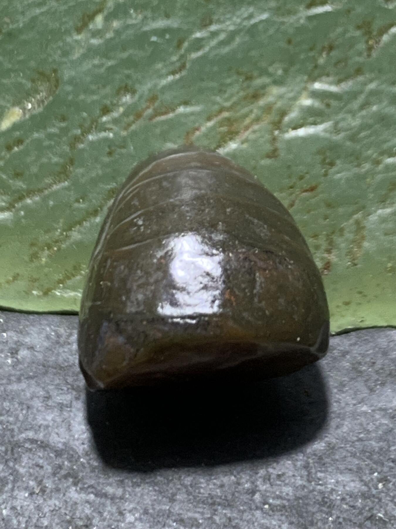 放福利！精美天然阿拉善筋脉石原石戒面一颗，