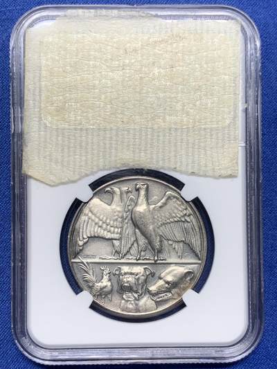 《竞宝斋》第412场 周日，周一，周二，3场连拍 （全场包邮） NGC MS64 冠军分 1914年德国纪念一战开战银章 名誉品 磨砂 高浮雕。背面上方两只鹰代表德奥两国 下方分别代表法、英、俄。
