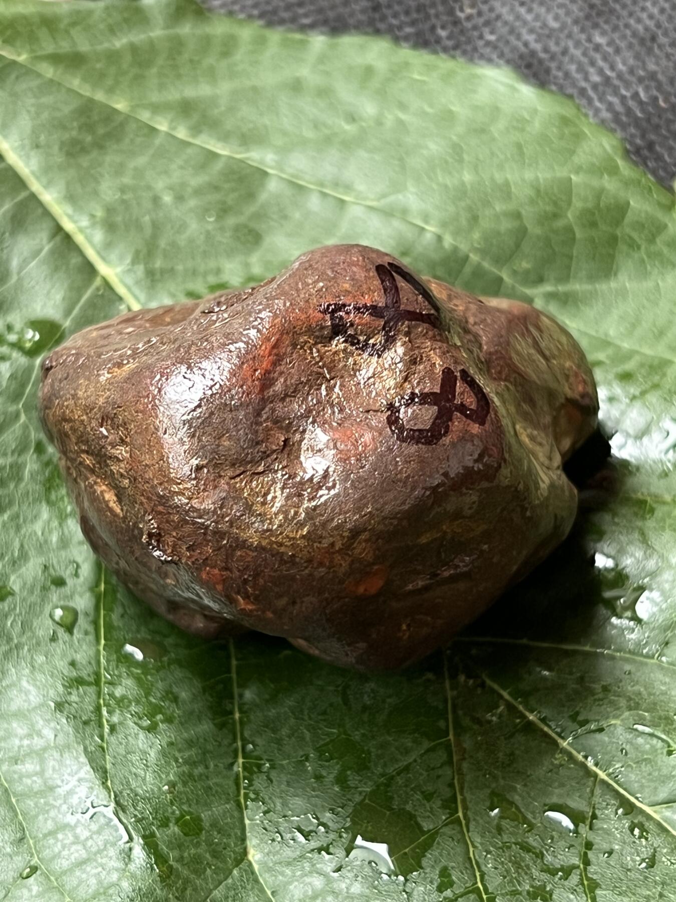 零元拍：南红玛瑙手把石。约88克，开口柿子红，纯天然，独一无二的（天然原石不可避免有瑕疵，裂纹，介意勿拍）因为拍照环境以及光线的变化，颜色以实物为准。成品很美丽，原石亦魅力无穷。