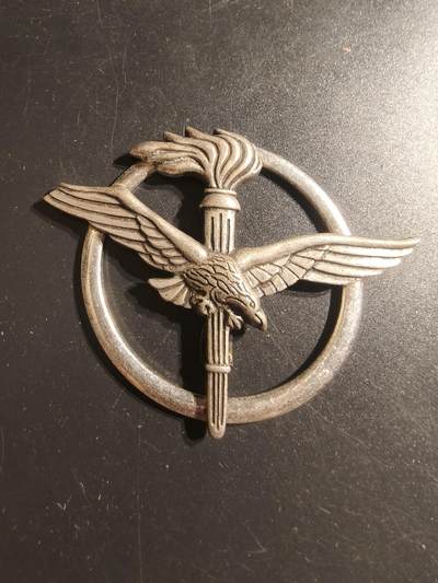 老王徽章第144期 - 意大利陆军航空兵贝雷帽徽