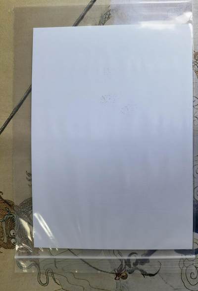 奇趣收藏卡牌拍卖第21场 【亲签卡】布丁大乱斗A4亲签大卡(1000g对裱工艺厚卡 背面泡泡牛亲签）1张+布丁大乱斗A5海报1张