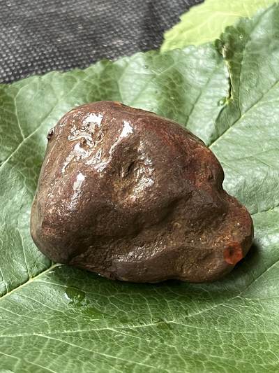 零元拍：南红玛瑙手把石。约88克，开口柿子红，纯天然，独一无二的（天然原石不可避免有瑕疵，裂纹，介意勿拍）因为拍照环境以及光线的变化，颜色以实物为准。成品很美丽，原石亦魅力无穷。 - 零元拍：南红玛瑙手把石。约88克，开口柿子红，纯天然，独一无二的（天然原石不可避免有瑕疵，裂纹，介意勿拍）因为拍照环境以及光线的变化，颜色以实物为准。成品很美丽，原石亦魅力无穷。