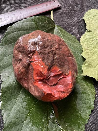 零元拍：南红玛瑙伴生矿红碧石手把石（非南红）。约197克，纯天然，独一无二的（天然原石不可避免有瑕疵，裂纹，介意勿拍）因为拍照环境以及光线的变化，颜色以实物为准。成品很美丽，原石亦魅力无穷。 - 零元拍：南红玛瑙伴生矿红碧石手把石（非南红）。约197克，纯天然，独一无二的（天然原石不可避免有瑕疵，裂纹，介意勿拍）因为拍照环境以及光线的变化，颜色以实物为准。成品很美丽，原石亦魅力无穷。