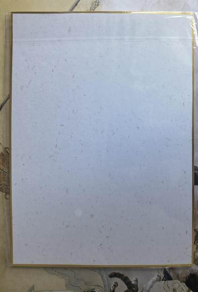 奇趣收藏卡牌拍卖第21场 山河潮玩 雪舟 绘 甄嬛 A4色纸大卡 厚约1.5mm