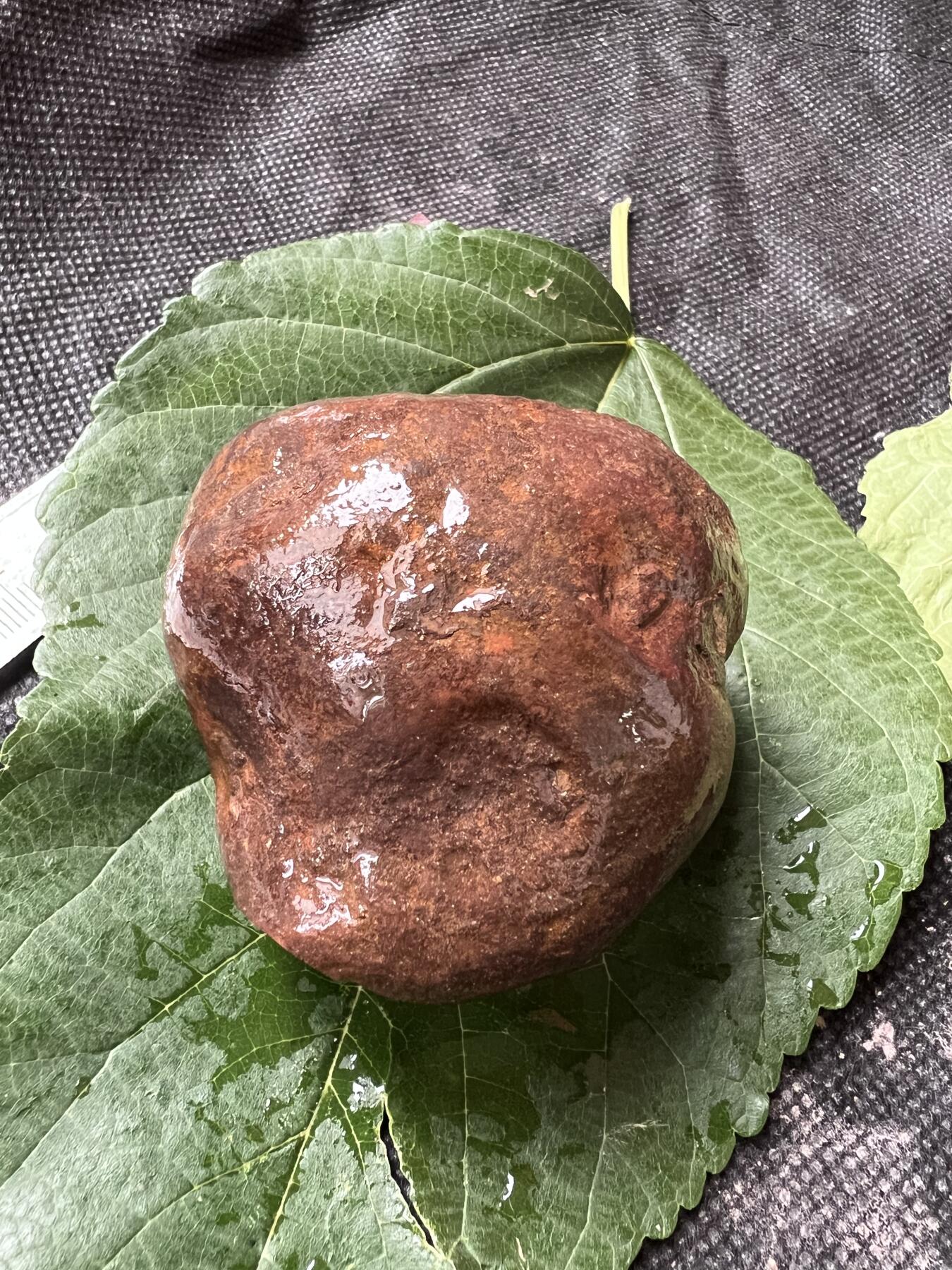 零元拍：南红玛瑙手把石。约194克，红白相间纯天然，独一无二的（天然原石不可避免有瑕疵，裂纹，介意勿拍）因为拍照环境以及光线的变化，颜色以实物为准。成品很美丽，原石亦魅力无穷。