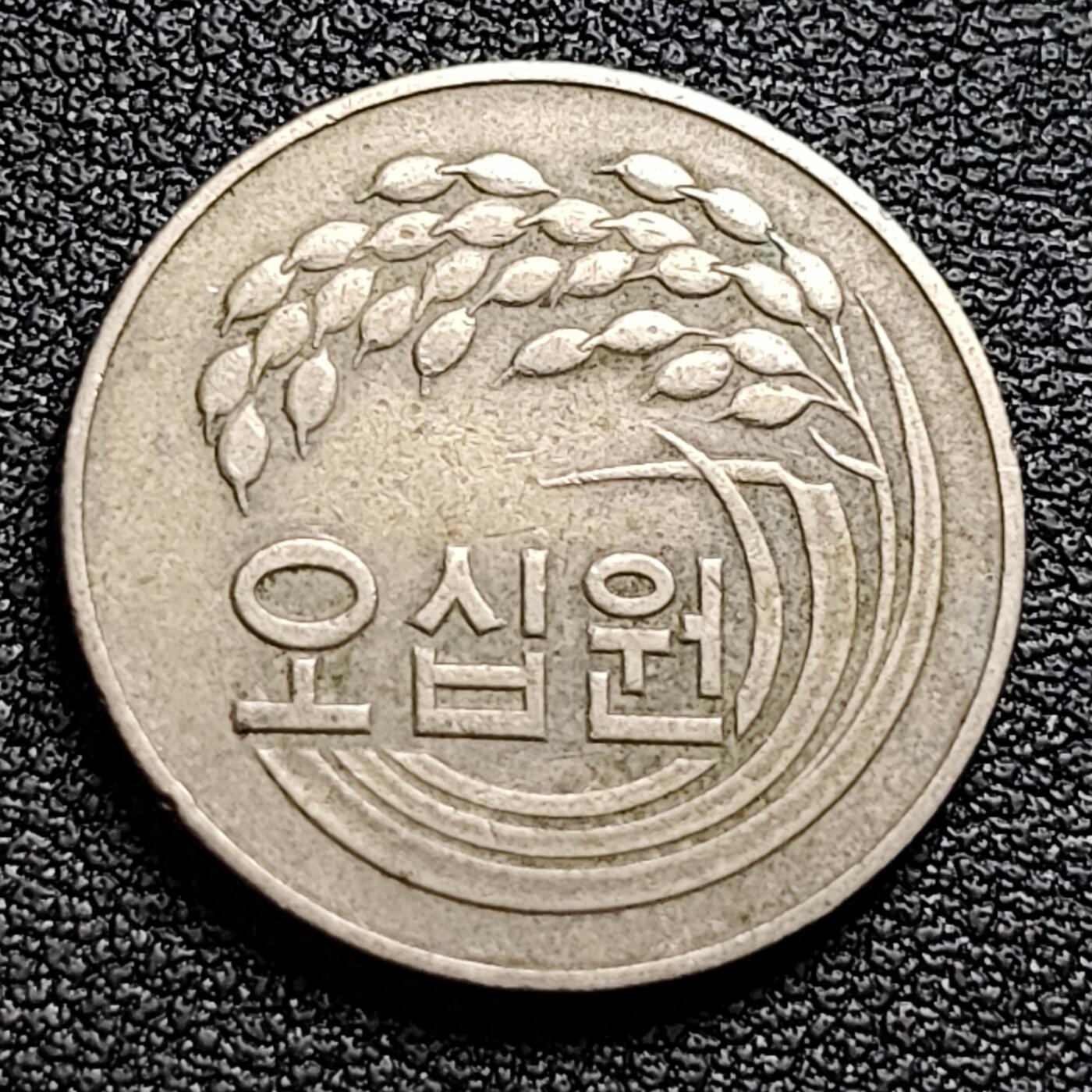 泉币菌-第98场-散币乐园场