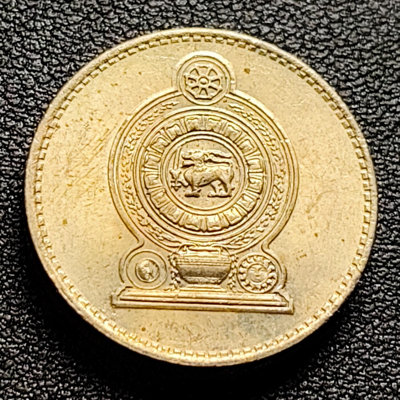 泉币菌-第99场-精品福利场